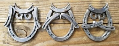 Horseshoe Owls
